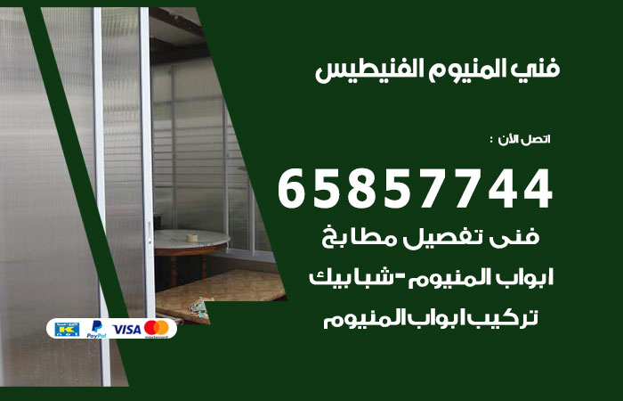 فني المنيوم الفنيطيس