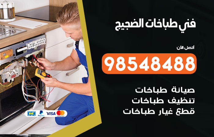 فني طباخات باكستاني الضجيج