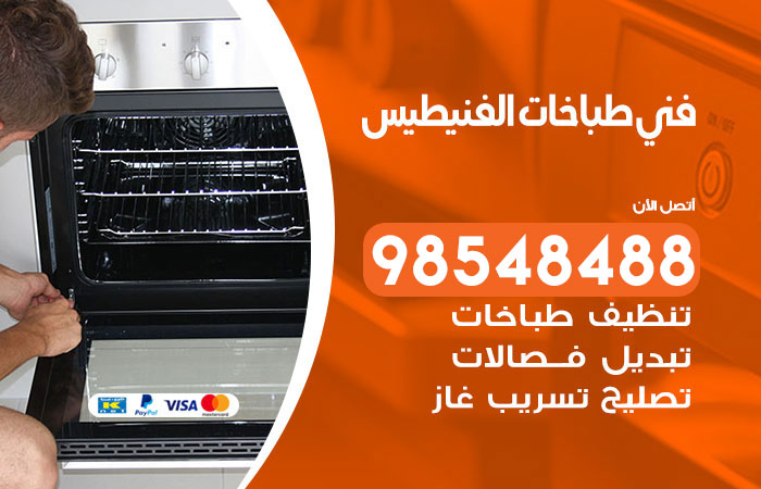 فني طباخات باكستاني الفنيطيس