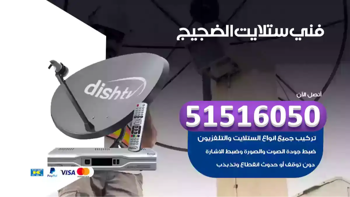 فني ستلايت الضجيج